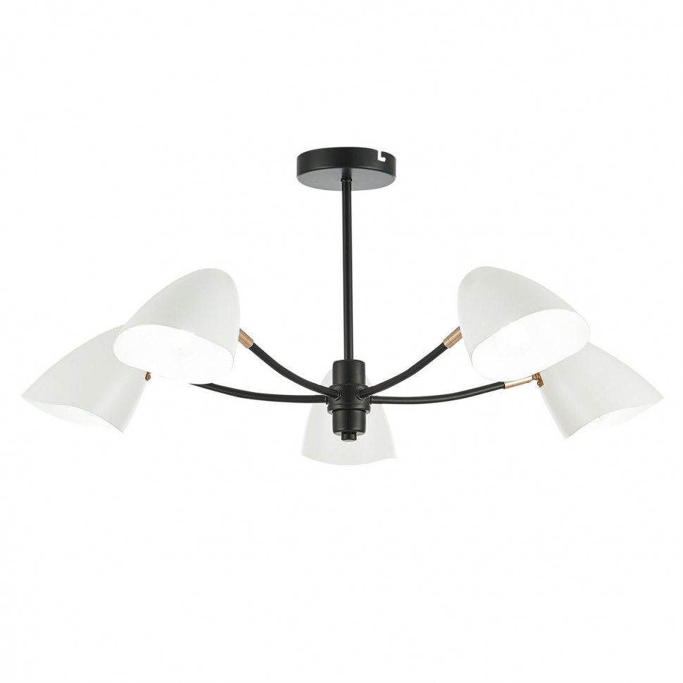 Потолочная люстра Evoluce Satta SLE103602-05 фото 1 &mdash; svetrussia.ru