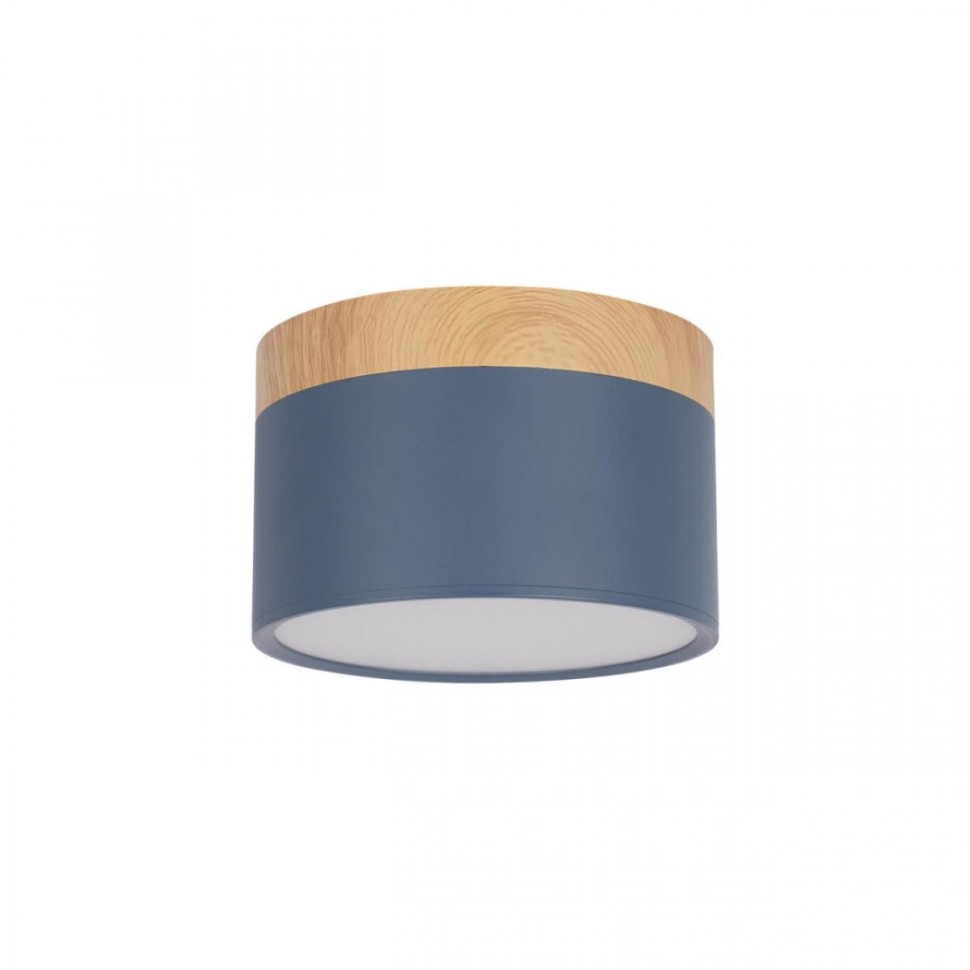 Накладной светодиодный светильник Loft IT Grape 10162 Blue фото 1 &mdash; svetrussia.ru