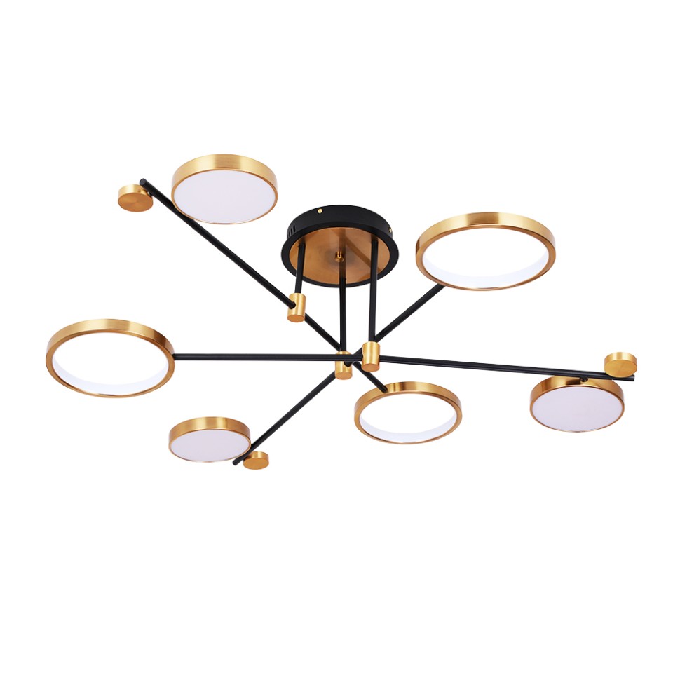 Потолочная светодиодная люстра Arte Lamp Holly A1364PL-6PB фото 1 &mdash; svetrussia.ru