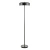 Торшер Arte Lamp Skat A7052PN-2BK фото 1 &mdash; svetrussia.ru